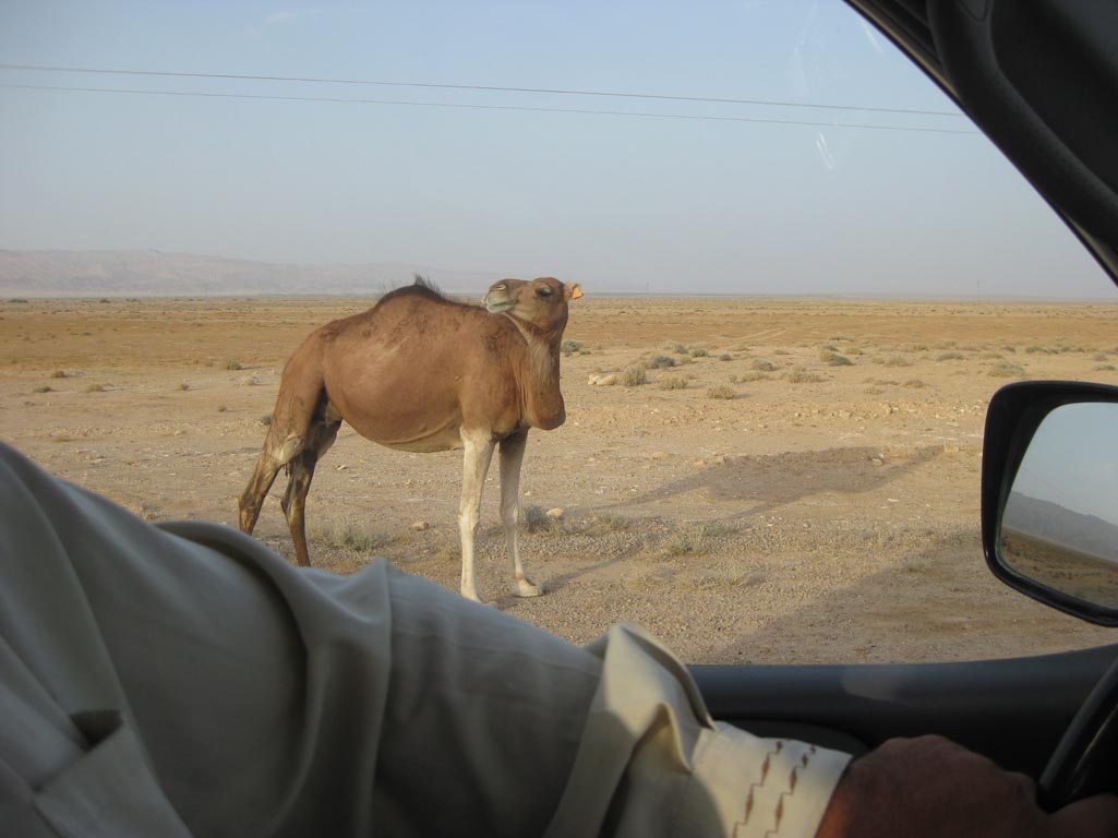 i/Family/Djerba/Safari - Djerba 2009 195.jpg
